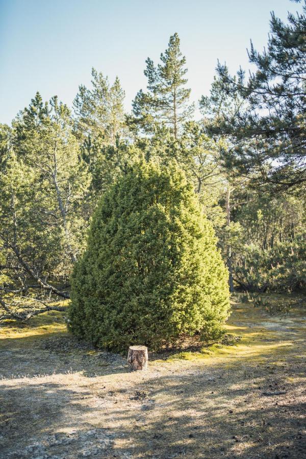 Miera Osta Pāvilosta Exterior foto